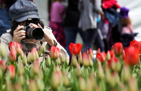 Уряд визначив 9 вихідних на час травневих свят