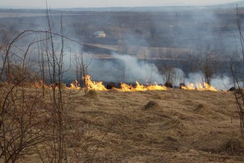 За добу на Львівщині ліквідували чотири пожежі сухостою