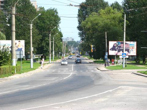 Львів’яни вимагають зберегти дерева на вулиці Мазепи під час реконструкції