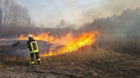 У Кам'янка-Бузькому районі горів сухостій