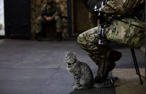 Генштаб ЗСУ оприлюднив втрати росіян на 26 травня
