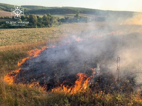 За добу на Львівщині зафіксували дві пожежі сухостою