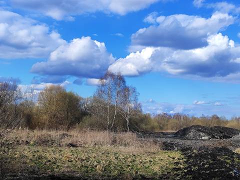 У Львові здають в оренду земельну ділянку для будівництва нового ТРЦ
