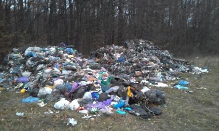 На Перемишлянщині виявили сміття з Дрогобича