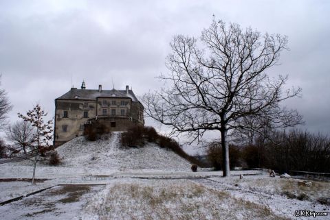 Олеський замок потребує 2 млн. грн. на перекриття аварійного даху