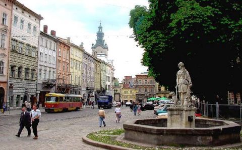 Хворі каштани та аварійну липу зрізатимуть на площі Ринок у Львові