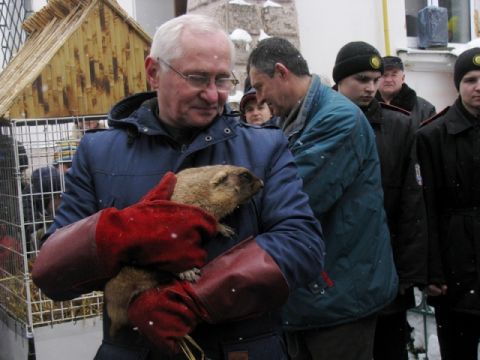 День бабака у Львові