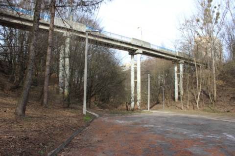 У Львові стартувала нова акція з висадки дерев у парках та біля пологових будинків