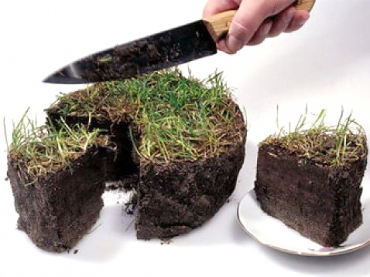 Засідання суду щодо вилучення земель у мешканців с. Зубри перенесли