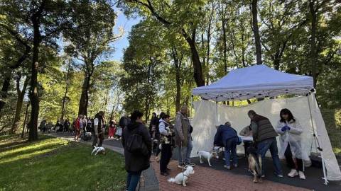 У Снопківському парку домашніх тварин безплатно вакцинуватимуть від сказу