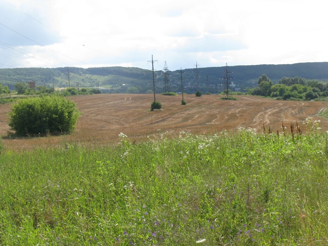 На Бущині сільрада незаконно передала у власність 232 га земель