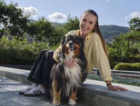 Як бренд PRO PLAN® та амбасадор бренду Еліна Світоліна змінюють життя тварин в Україні?