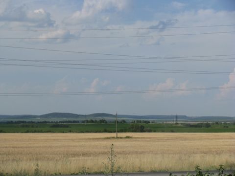 Приватна фірма незаконно кристувалася землею на Жовківщині