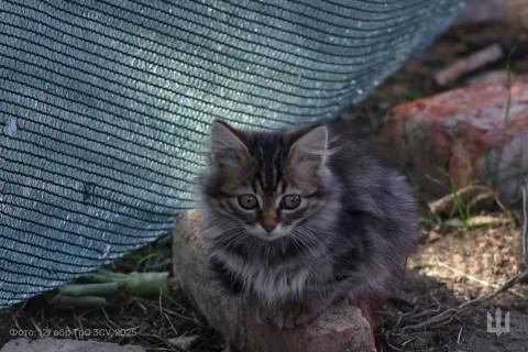 Генштаб ЗСУ оприлюднив втрати росіян на 18 лютого