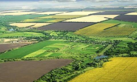 АМКУ оштрафував дві компанії за змову на аукціонах з оренди земель на Львівщині