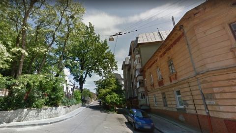 У Львові планують скасувати статус пам’ятки природи для дуба на вулиці Воробкевича