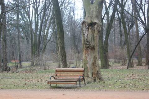 На Львівщині у листопаді хворобу Лайма діагностували у понад 50 людей