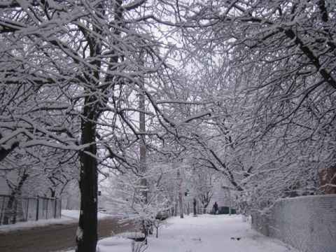 Минулого тижня від грипу на Львівщині загинула людина