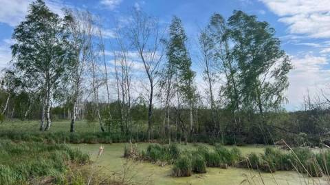 Верховний Суд повернув у комунальну власність одну з ділянок заказника Торфовище Білогорща