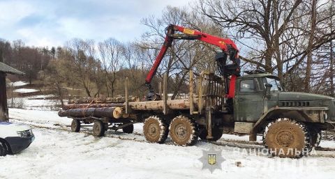 На Старосамбірщині на гарячому впіймали крадія лісу