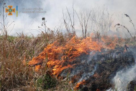 За добу на Львівщині зафіксували п'ять пожеж сухостою