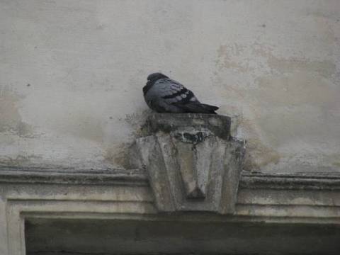 Курс валют у Львові на 9 грудня