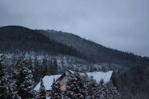 На Стрийщині планують створити нову пам'ятку природи площею 270 гектарів