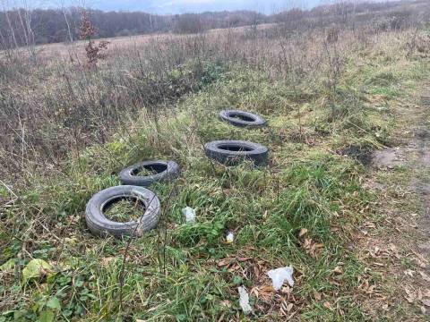 На території Новояричівської громади виявили звалище сміття, шин та меблів