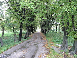 У Львові перевірятимуть будівництво у парку «700-річчя Львова»