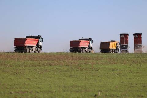 Територію Грибовицького сміттєзвалища засіяли травами з Данії