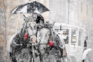 На вихідних у Львові буде 16 градусів морозу