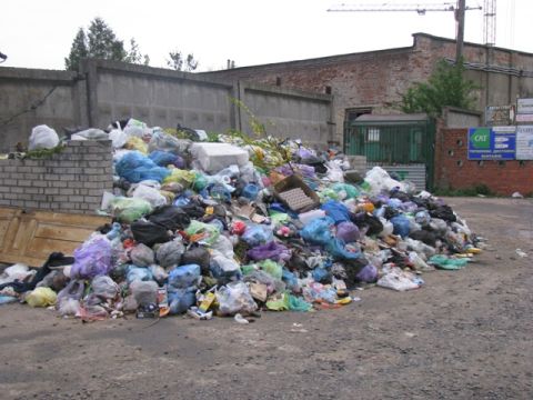 У Франківському районі міськрада знайшла переповнений сміттєвий майданчик