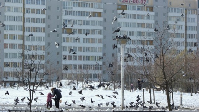 На Сихові виросте ще одна багатоповерхівка