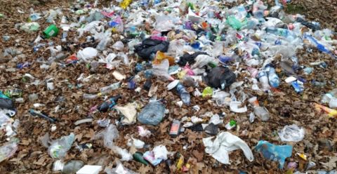 На території Меденицької ОТГ виявили звалище побутового сміття