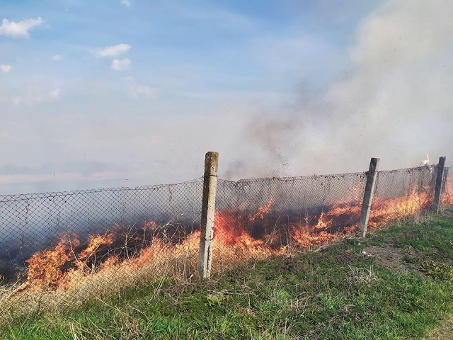 За добу рятувальники погасили 17 пожеж сухостою на Львівщині