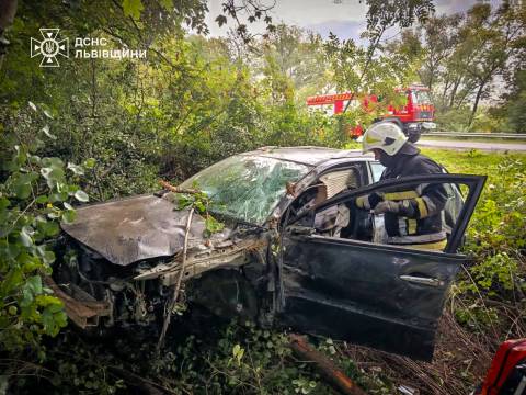 На Стрийщині авто з’їхало в кювет: постраждала водійка