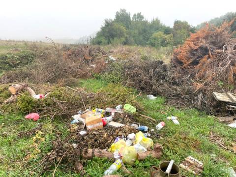 На території Підкамінської громади виявили звалище сміття та пластику