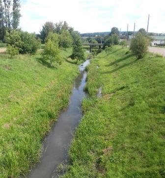 У річці на Золочівщині виявили багато забруднюючих речовин
