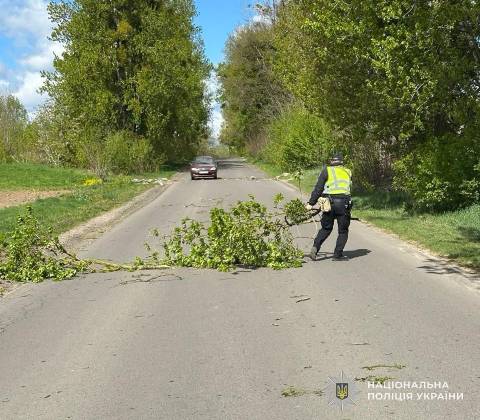 На Львівщині через негоду постраждав водій вантажівки