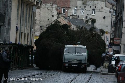 12 грудня планують привезти ялинку на площу перед Оперним театром